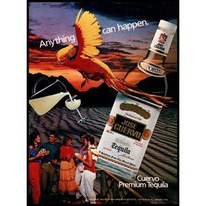 1983 Jose Cuervo Tequila Vintage Print Ad Parrot Margaritas Desert Party Photo